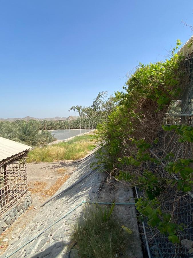 Uae Farm Villa Qur Dış mekan fotoğraf